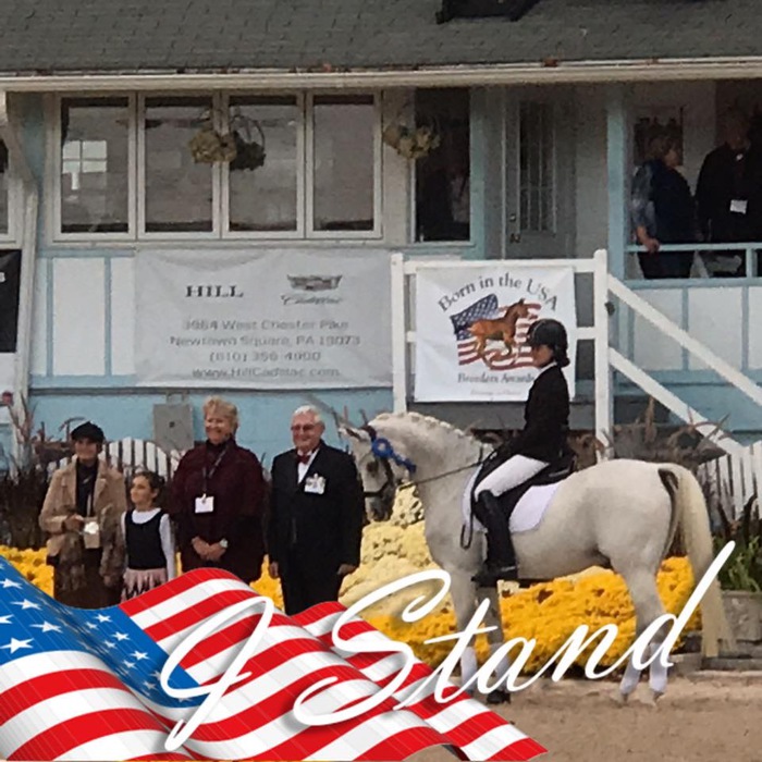 Photos of horses we rode :: Windyridgefarm